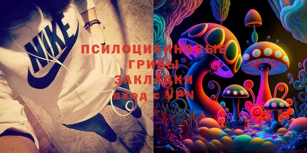 сатива Коряжма