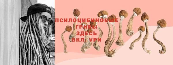 прущая мука Костерёво