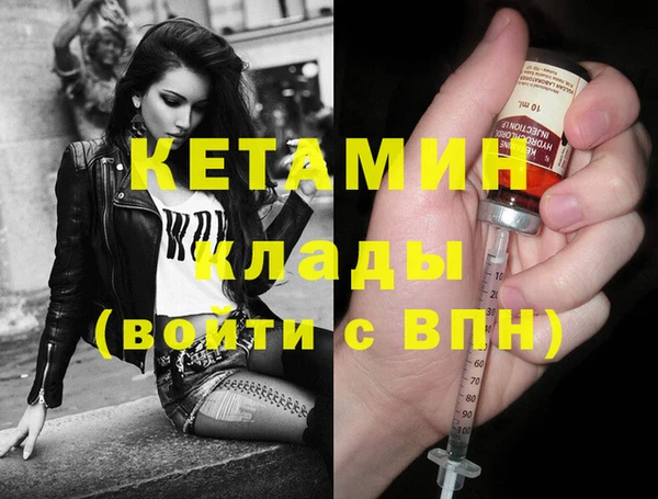 сатива Коряжма
