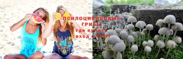 прущая мука Костерёво