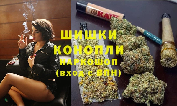 сатива Коряжма