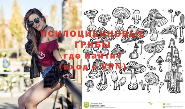 сатива Коряжма